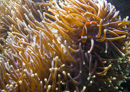 點擊圖片進入下一頁